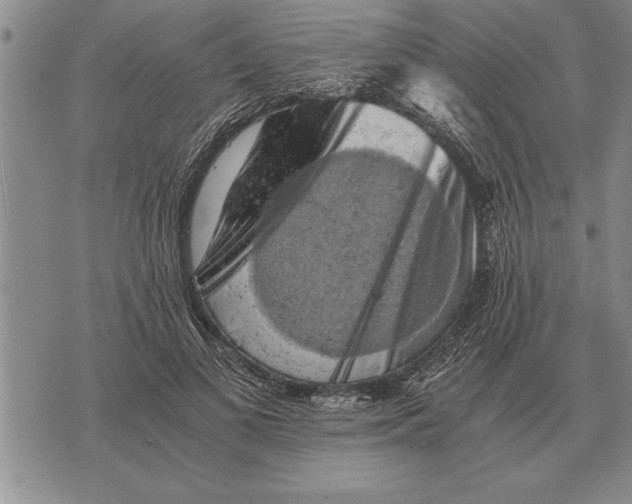 X0000075870693200610151701