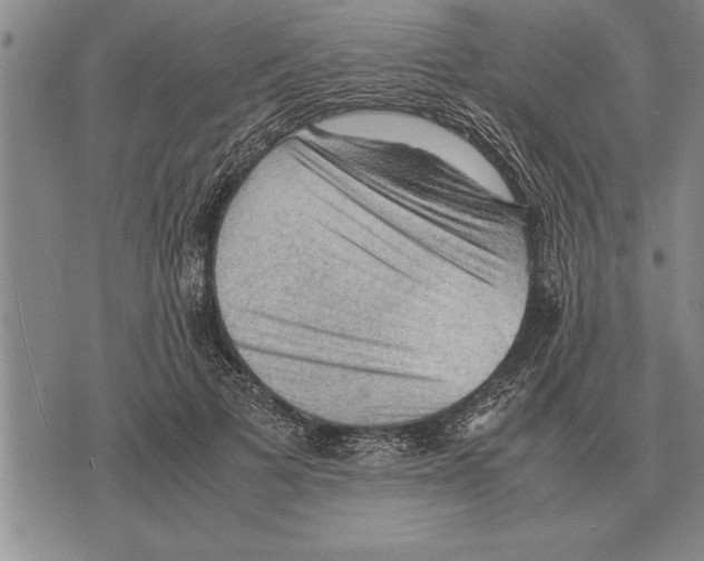 X0000075870697200610151701