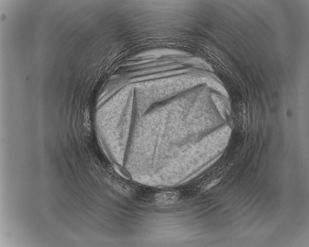 X0000075870700200610151701