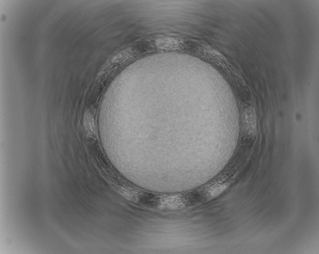 X0000075870705200610151700