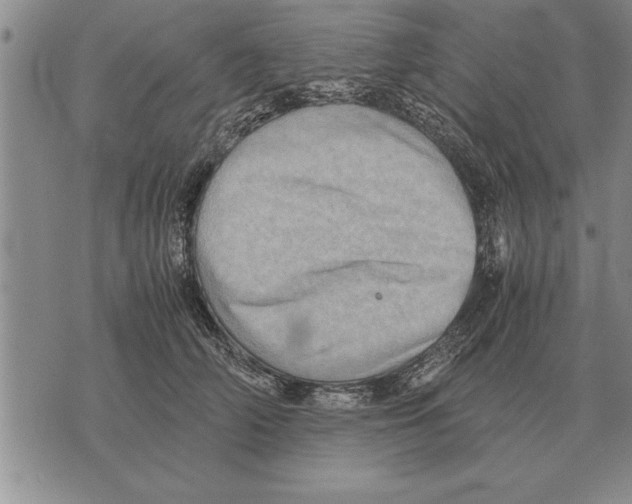 X0000075870706200610151700