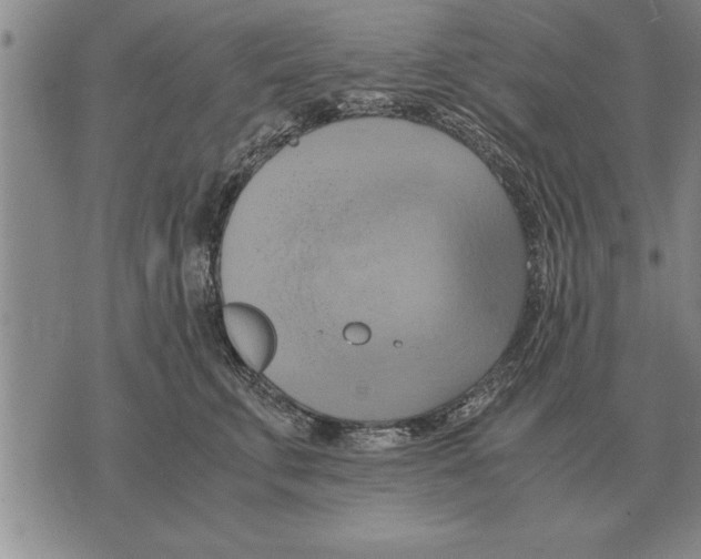 X0000075870711200610151700