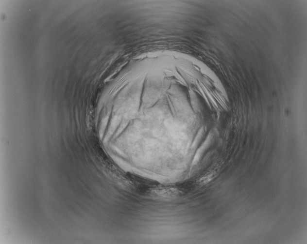 X0000075870712200610151700