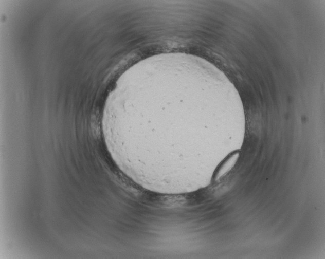 X0000075870719200610151700