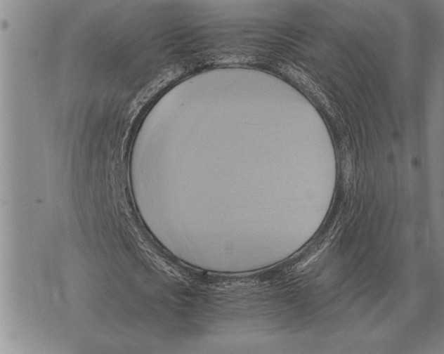 X0000075870721200610151659