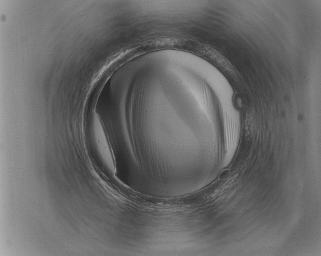 X0000075870722200610151659