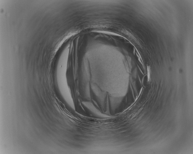 X0000075870723200610151700