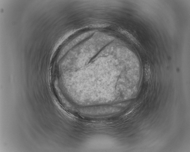 X0000075870726200610151700