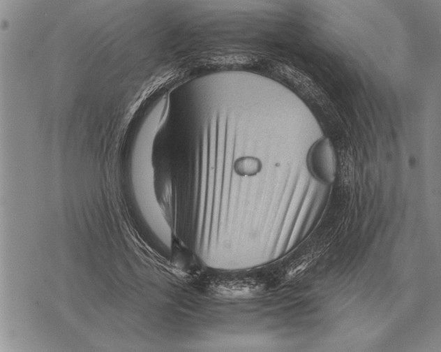 X0000075870731200610151700