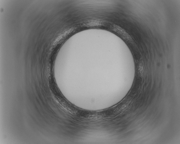 X0000075870732200610151700