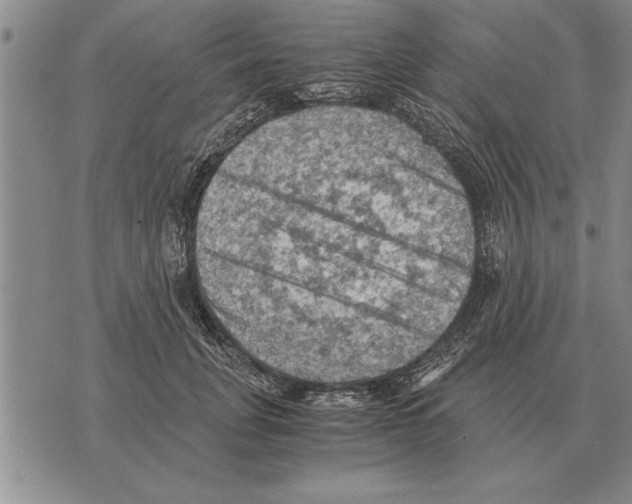 X0000075870751200610151700