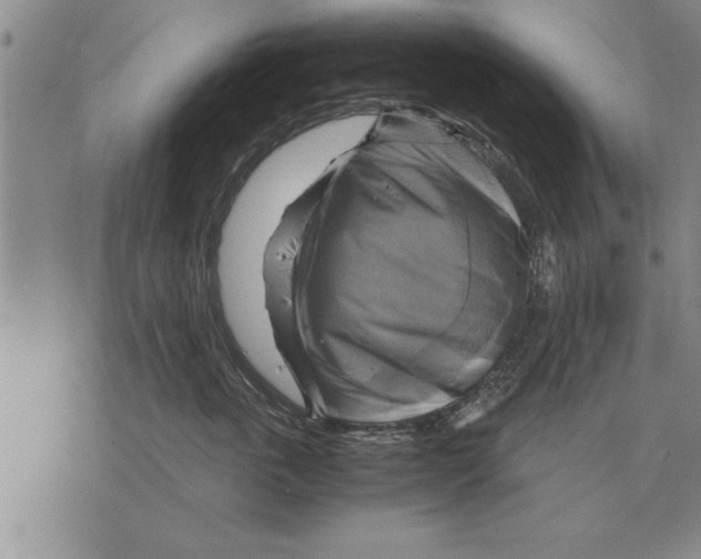 X0000075870763200610151700