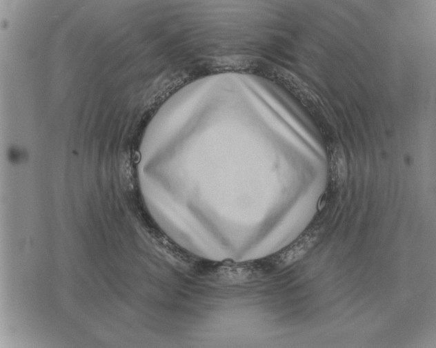X0000075870764200610151700