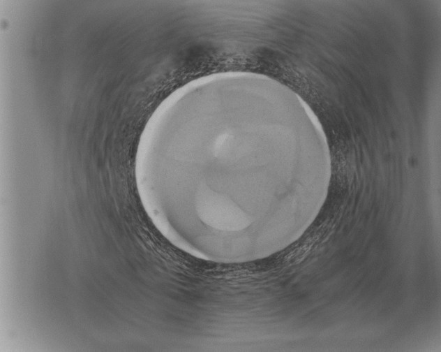 X0000075870769200610151659