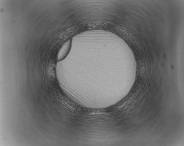 X0000075870770200610151659