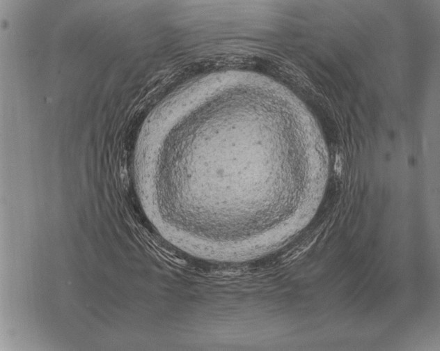 X0000075870771200610151659