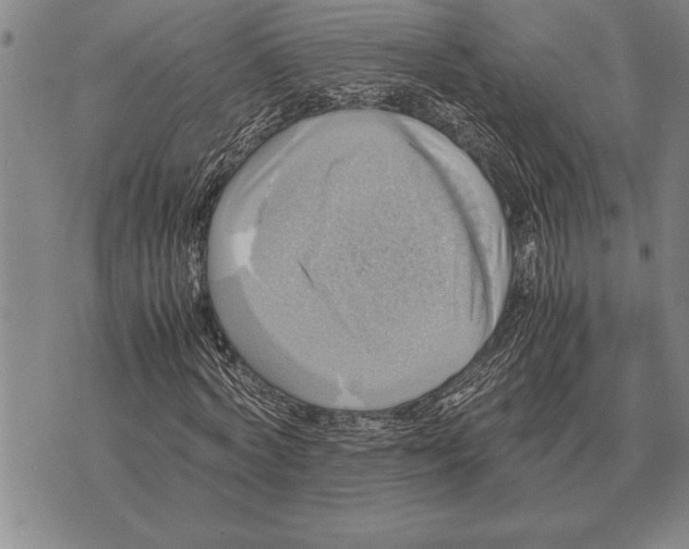 X0000075870772200610151659