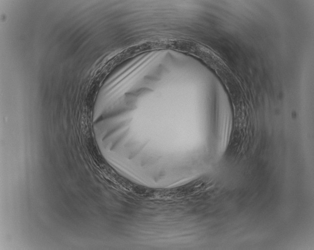 X0000075870773200610151659