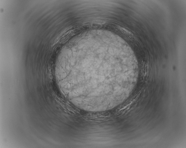 X0000075870774200610151659