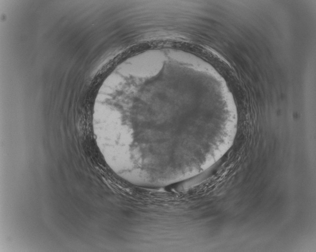 X0000075870775200610151659