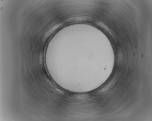 X0000075870778200610151659