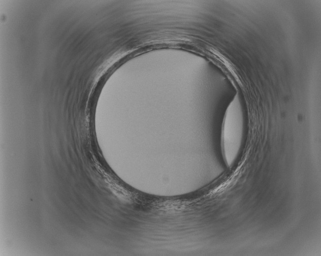 X0000075870779200610151659