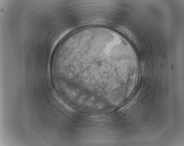 X0000075870780200610151659