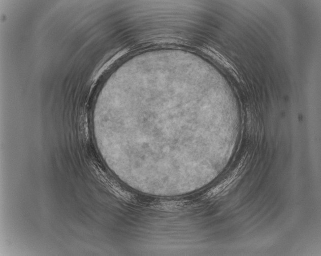 X0000075870782200610151659