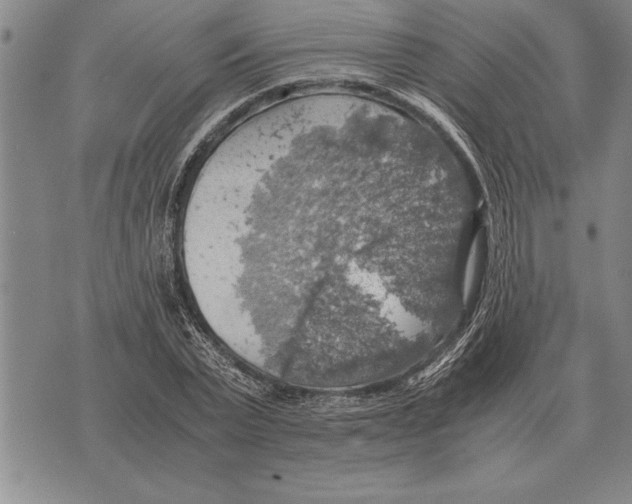 X0000075870783200610151659