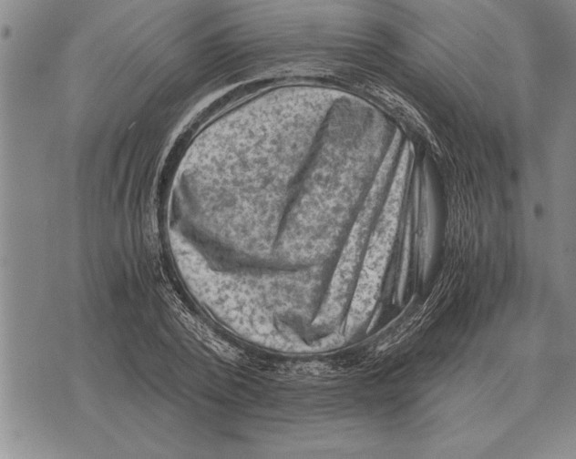 X0000075870784200610151659