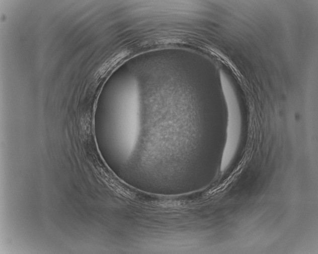 X0000075870785200610151659