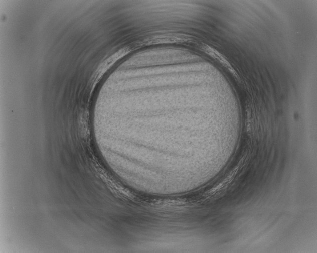 X0000075870786200610151659