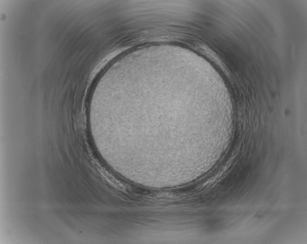 X0000075870787200610151659