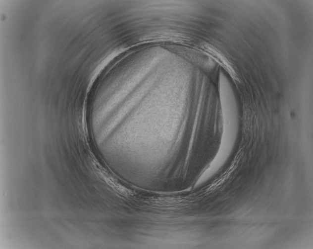 X0000075870788200610151659