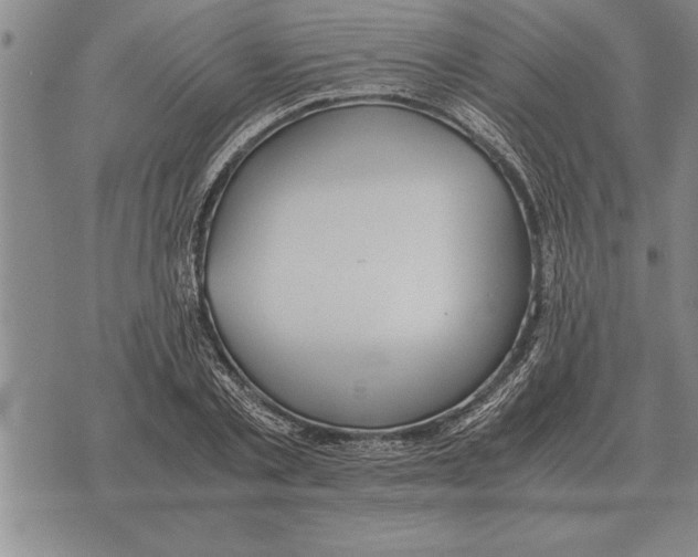 X0000075870789200610151659