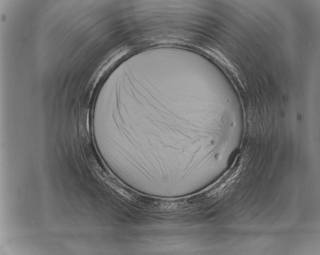 X0000075870790200610151659