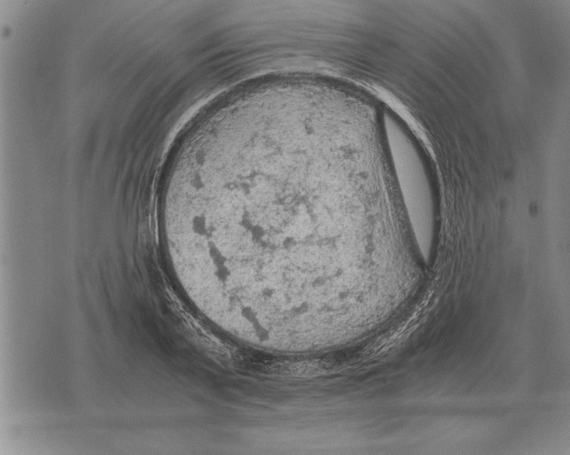 X0000075870791200610151659