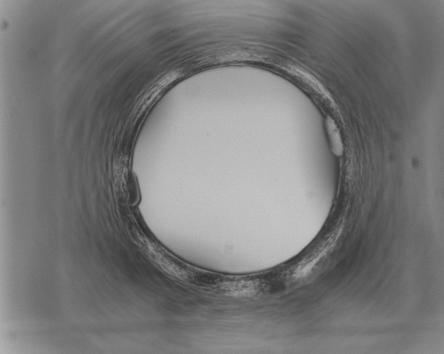 X0000075870793200610151659