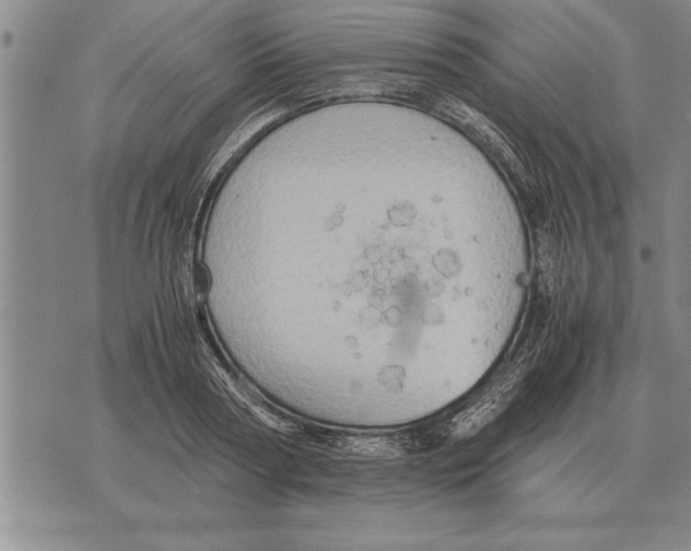 X0000075870794200610151659