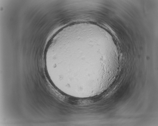 X0000075870795200610151659