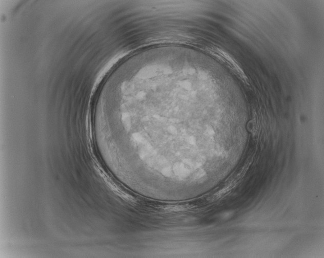 X0000075870796200610151659