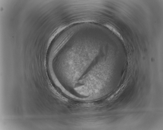 X0000075870797200610151659