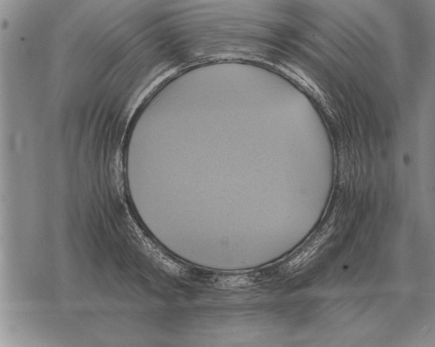 X0000075870798200610151659