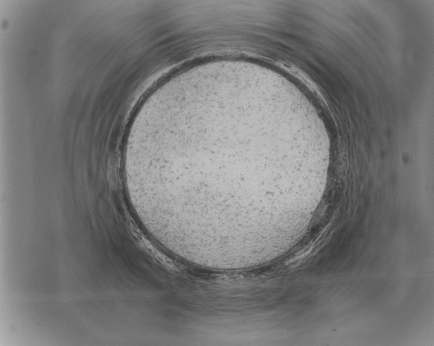 X0000075870799200610151659