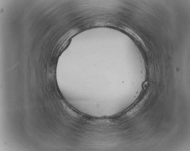 X0000075870801200610151659