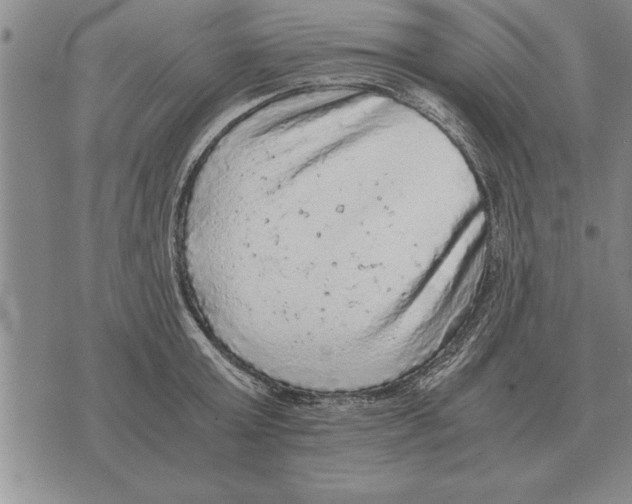 X0000075870803200610151659