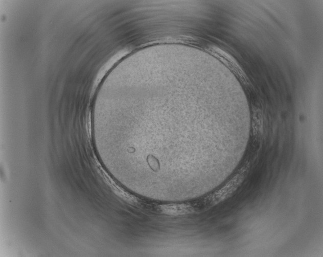 X0000075870804200610151659