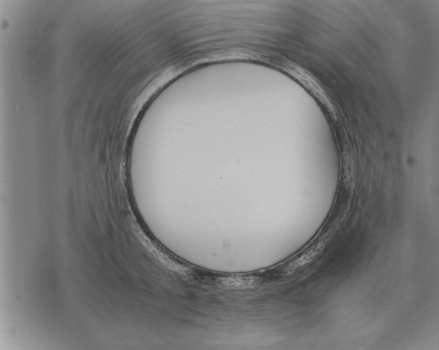 X0000075870805200610151659