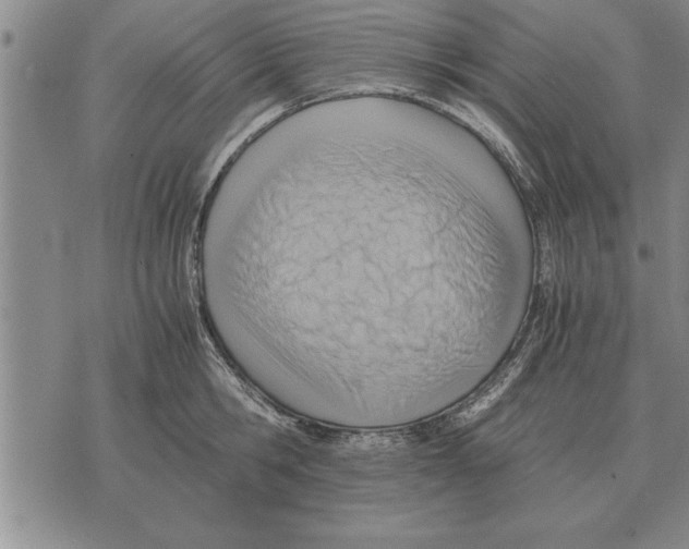 X0000075870806200610151659