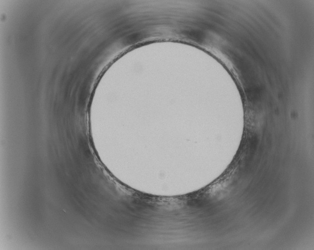 X0000075870807200610151659